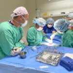Alasdair overseeing surgery