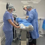 Alasdair Hotston-Moore carrying out surgery in a small animal clinic